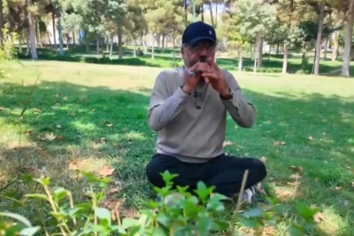 فیلم؛ دعوت به سرزمین هنرمندان